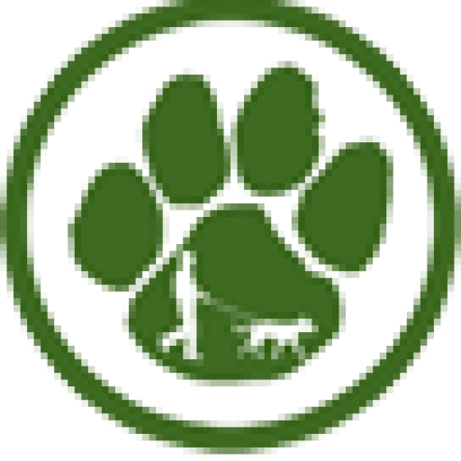 Dog Walker Singapore Dog Sitting Services
